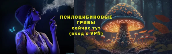 первитин Белоозёрский