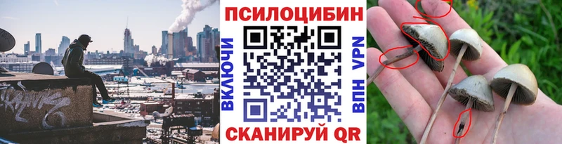 Галлюциногенные грибы мицелий  купить закладку  Ейск 
